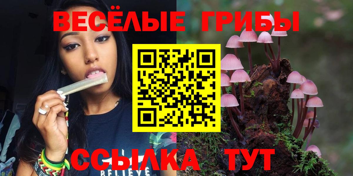 Галлюциногенные грибы Cubensis Копейск